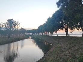 湿地公园杨柳岸堤坝