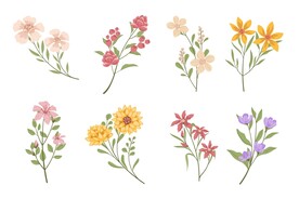 卡通花