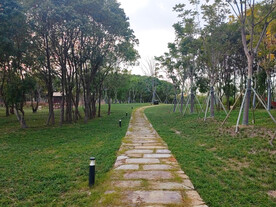 林间石阶健身步道