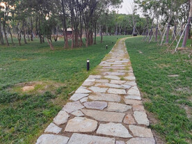 林间石板小路