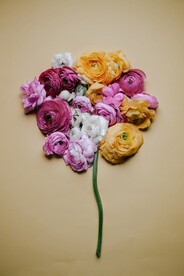 花束