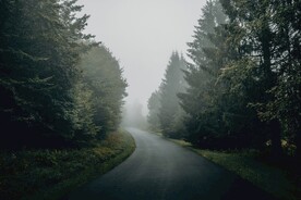 林间公路