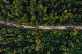 森林公路
