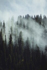 山间云雾