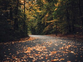 秋天林间小路