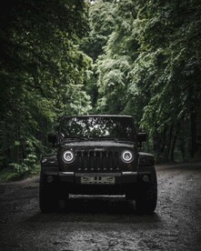 森林间的吉普车