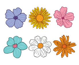 卡通花