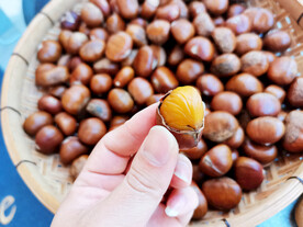 糖炒板栗 炒栗子 坚果炒货