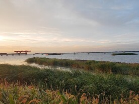 跨湖大桥在建工程