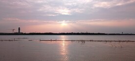 湿地湖边夕阳