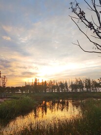 生态湿地美丽夕阳
