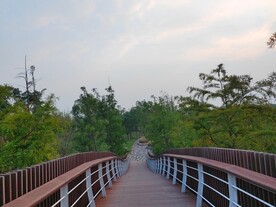 树林间旅游观光步道