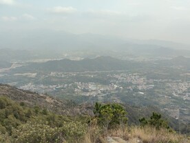 山
