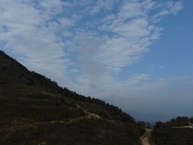 山