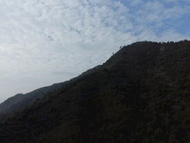 山