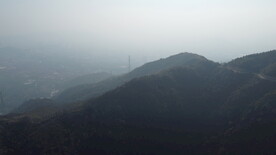 山