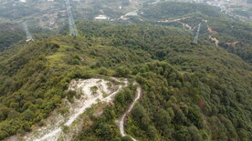 山