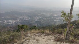 山
