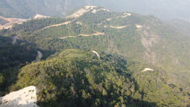 山