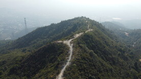 山