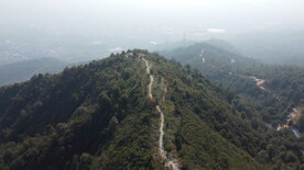 山