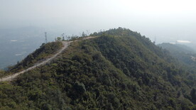 山