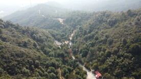 山