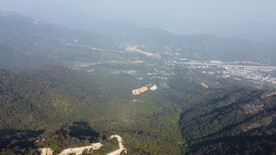山