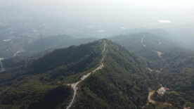 山