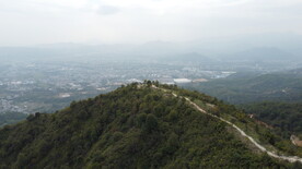 山