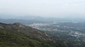 山
