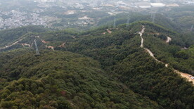 山