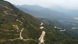 山