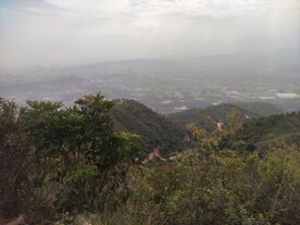 山