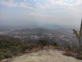 山