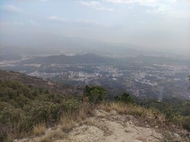山