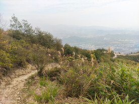 山