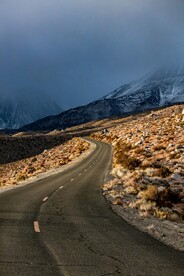 森林公路
