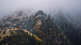 山里的雾