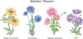 卡通花