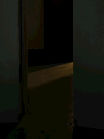 光