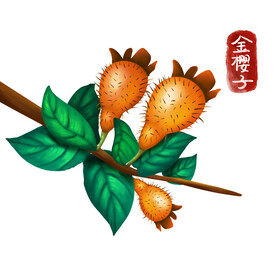 植物