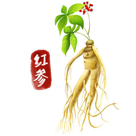植物