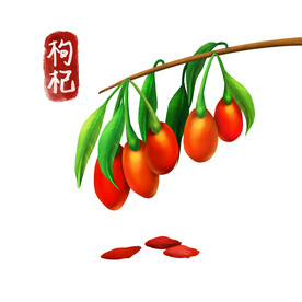 植物