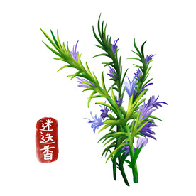 植物