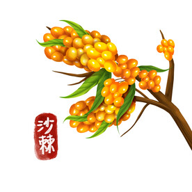 植物