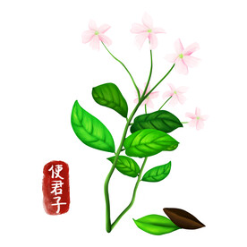 中药