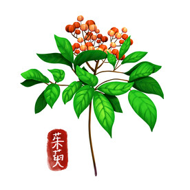 中药