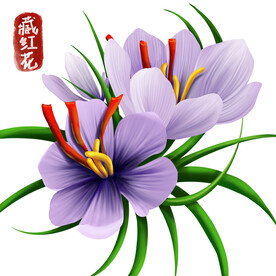 中药