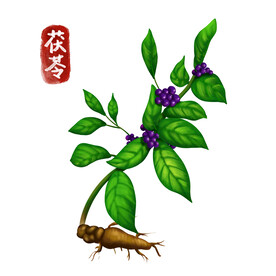 中药